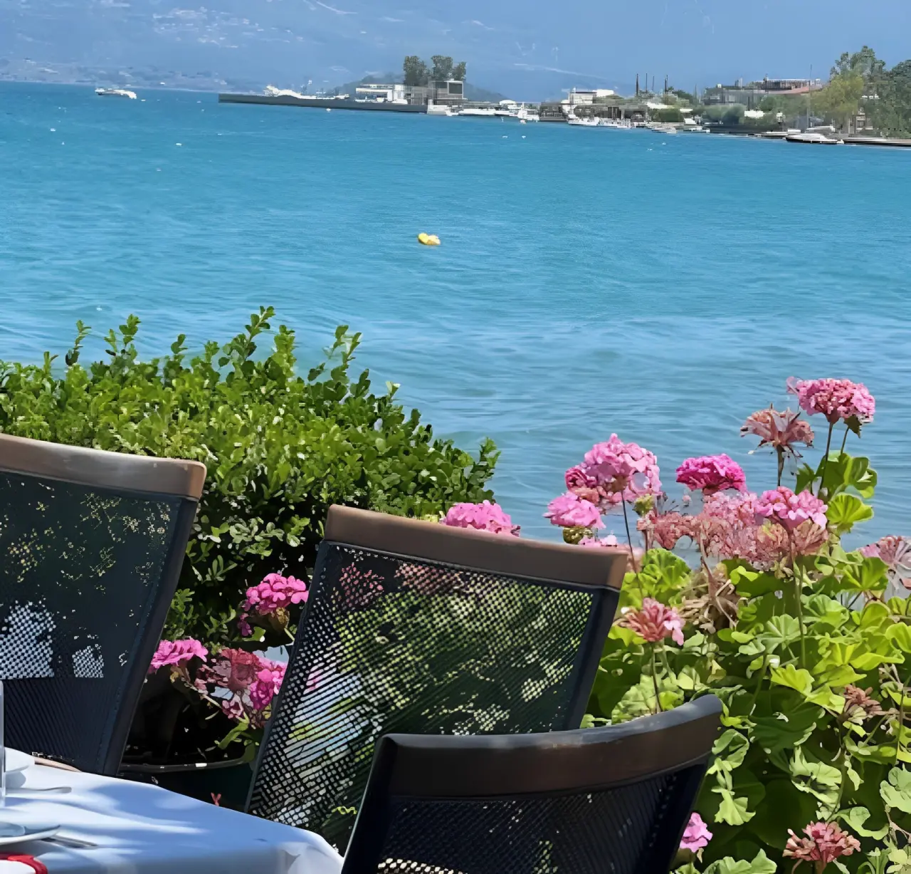 A table with chairs and flowers near the water.